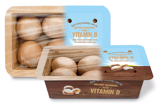 blog_banken_mushrooms_vitamin_D